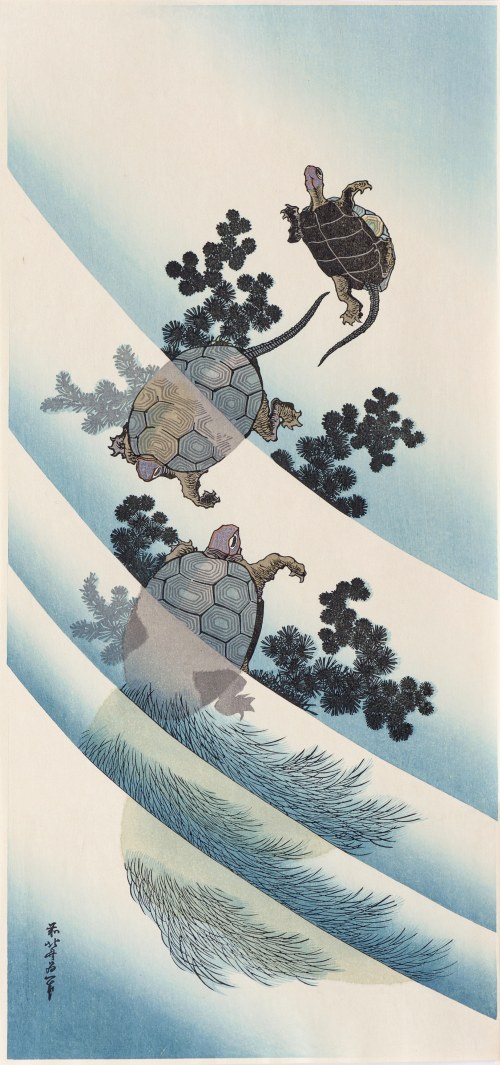 Żółwie, wyd. Adachi, Tokio/Japonia, 1972 r., Katsushika Hokusai