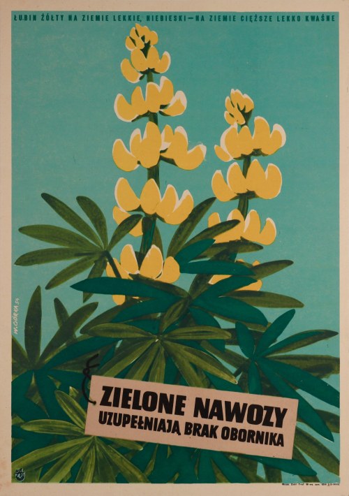 Zielone nawozy uzupełniają brak obornika, 1954, Wiktor Górka