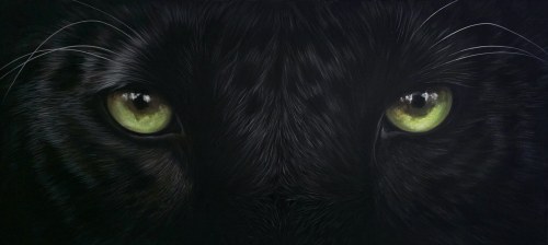 Sia z cyklu Wild Eyes, 2025, Paulina Wróblewska