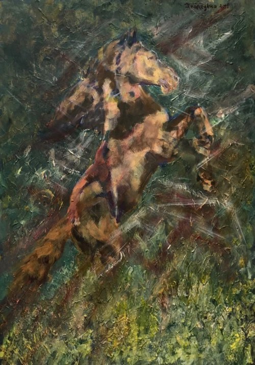 Dynamiczny koń, Dominika Kapczyńska