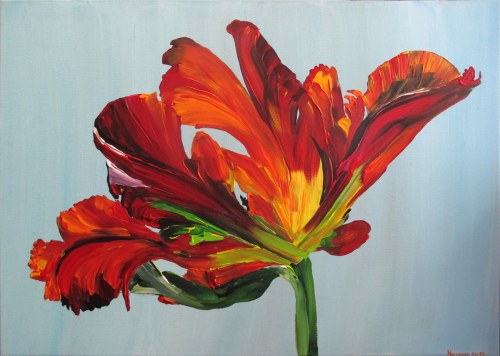 Tulipan postrzępiony, 2019r., No Name