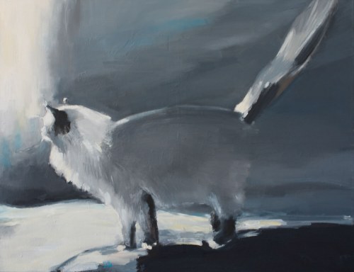 Mój kot, 2018, Michalina Garus