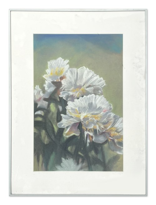 Piwonie, 2016 rok, Piotr Tofil