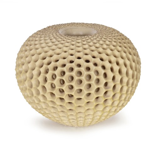 Radiolaria, Henryk Lula