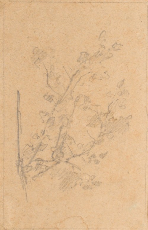 Szkic krzaków, ok. 1872-1879, Witold Pruszkowski