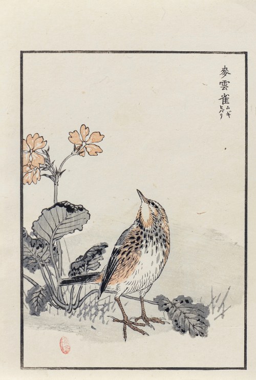 Świergotek drzewny, wyd. Ōkura Magobei, Tokio/Japonia, 1881 r., Kōno Bairei