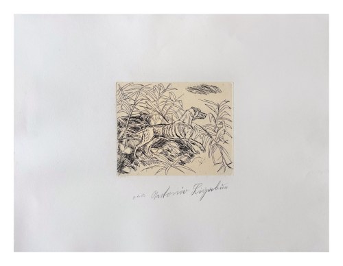 Pointer, Antonio Ligabue