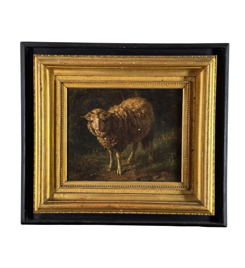 Owce, Ambito Fratelli Palizzi