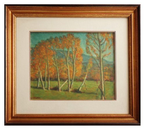 Le Albare, Alberto Stringa