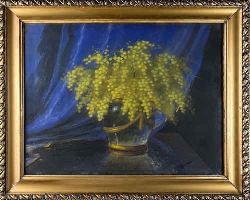 Mimozy, K. B. Sapierski