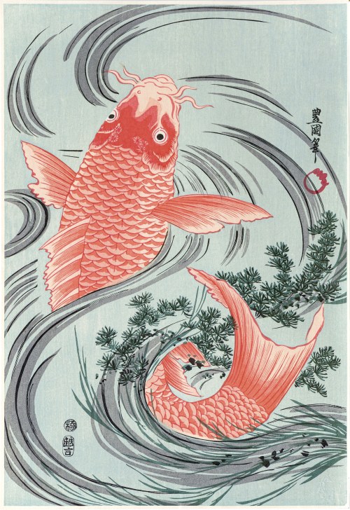 Czerwony karp, wyd. Adachi, Japonia, po 1990 r., Utagawa Toyokuni