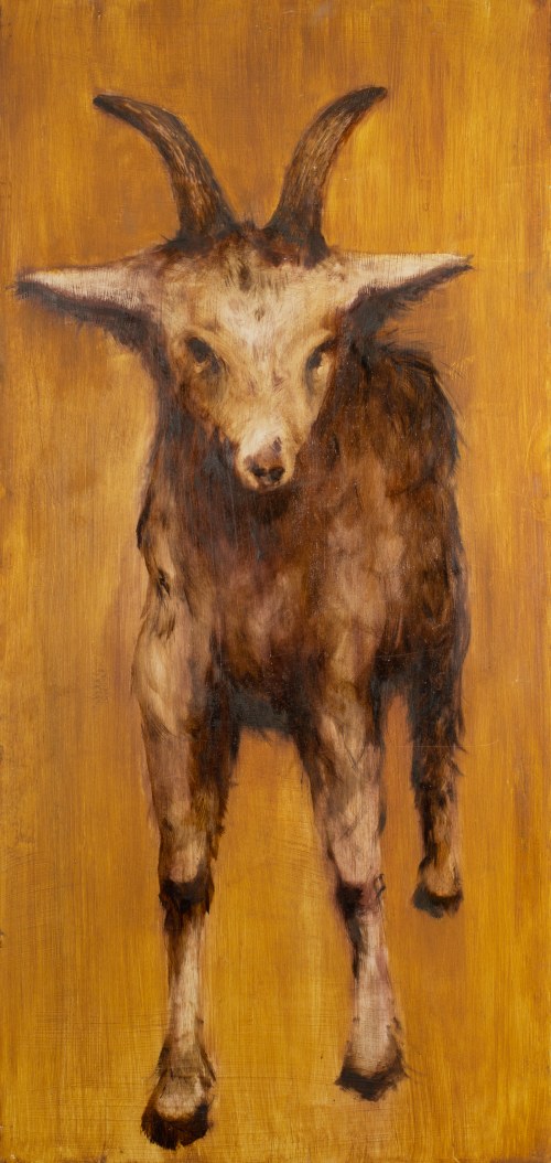 Gacek: 2025, Emilia Oleksyk