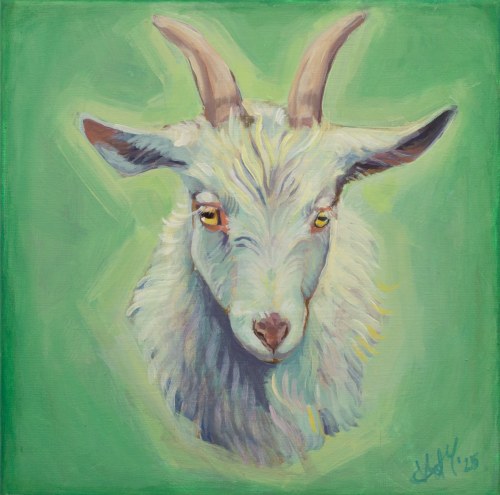 Gacek: 2025, Magnolia Pytka