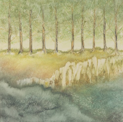 „Skarpa”, 2007, Danuta Kowalska