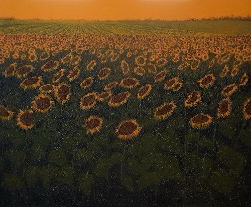 Girasoli Toscani, 2019, Jacek Malinowski