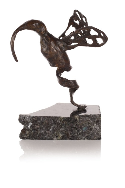 Ptak, 2013, Daria Grajek