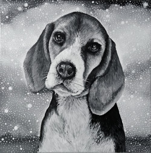 Beagle, 2017 r., Marta Julia Piórko