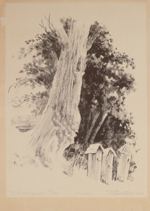 Wiosna, 1953, Aleksander Sołtan
