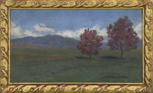 Dwa drzewa, Johann Müller