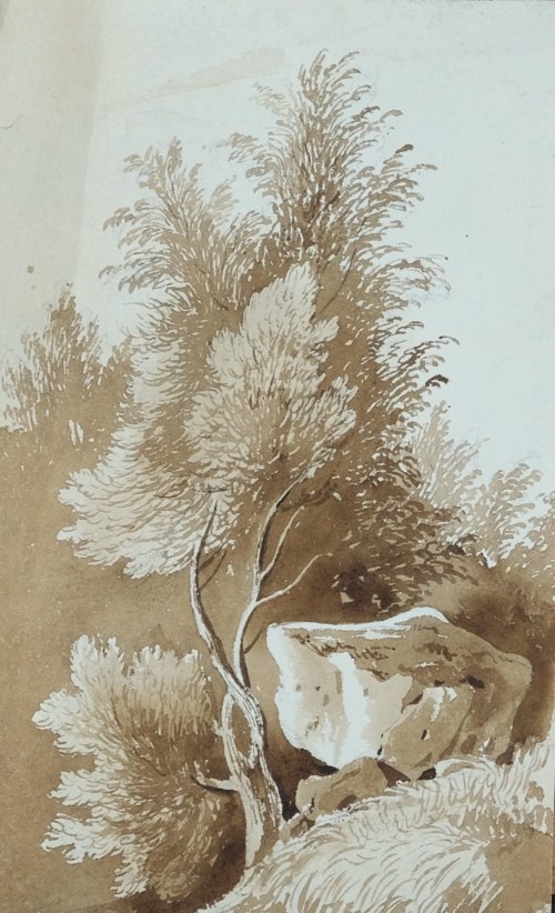 Pejzaż z drzewem i skałą, James Duffield Harding