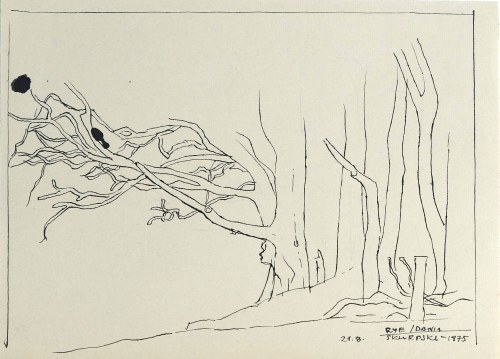 Pejzaż z Danii, 1975, Hieronim Skurpski