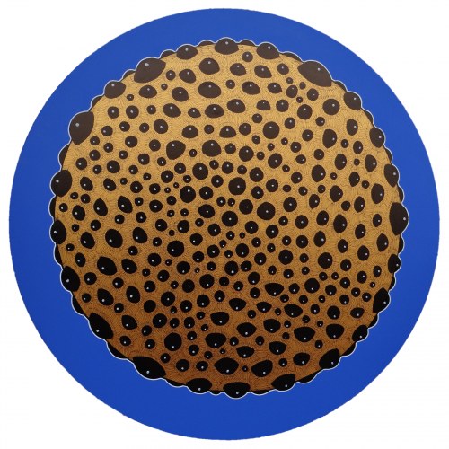 Zygota, 2019, Maciej Zych