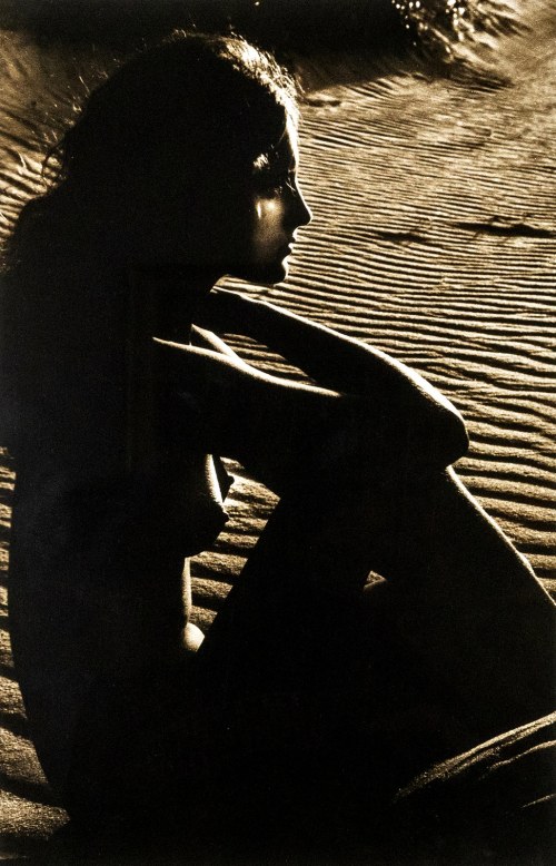 litewska Nefertiti, Rimantas Vladislavas Dichavičius