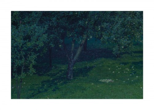 magic garden, 2018/2019, Magdalena Kasperczyk